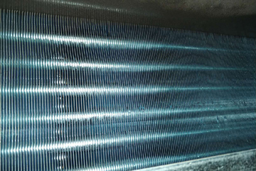 L(fng)C(j)P(pn)ܳƬϴƬ